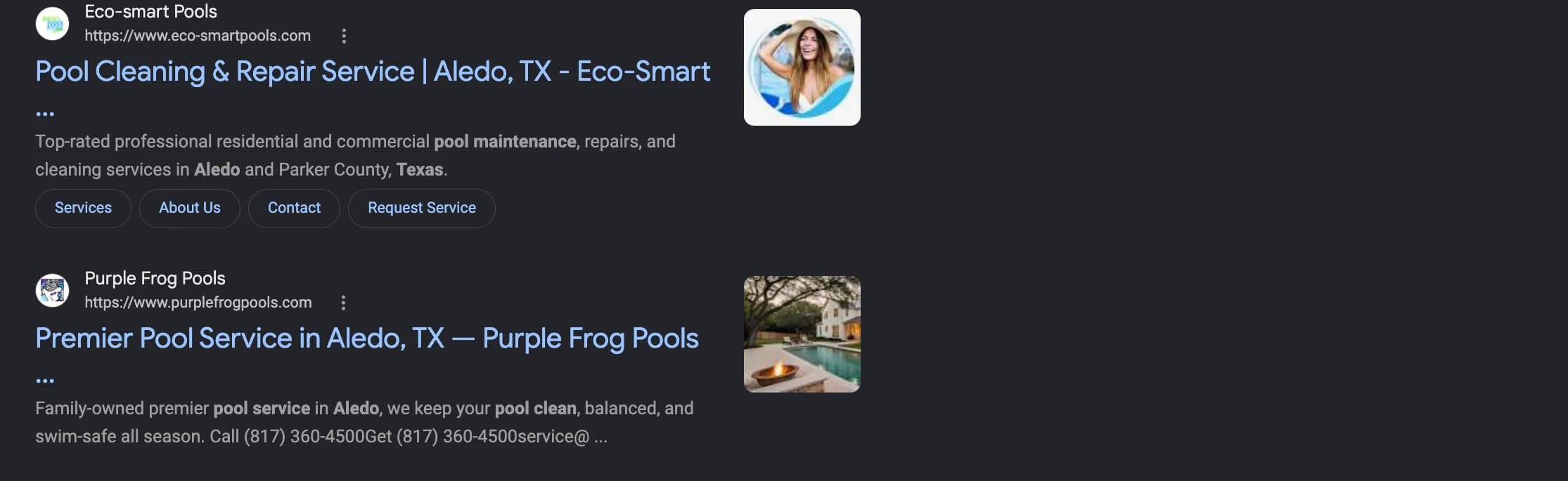 Google search results showing Purple Frog Pools