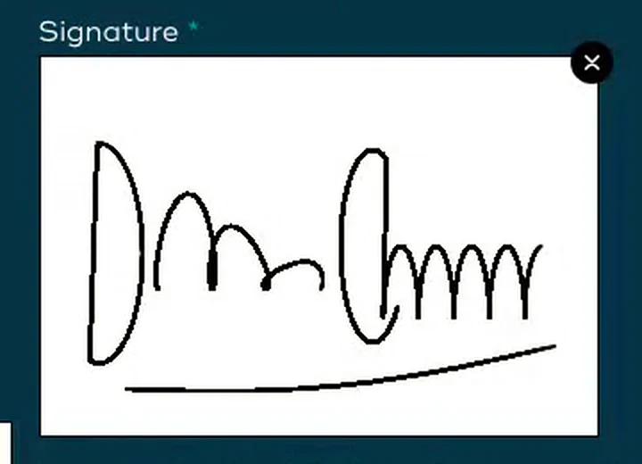 A rental agreement being signed on Tidal Wave's online waiver